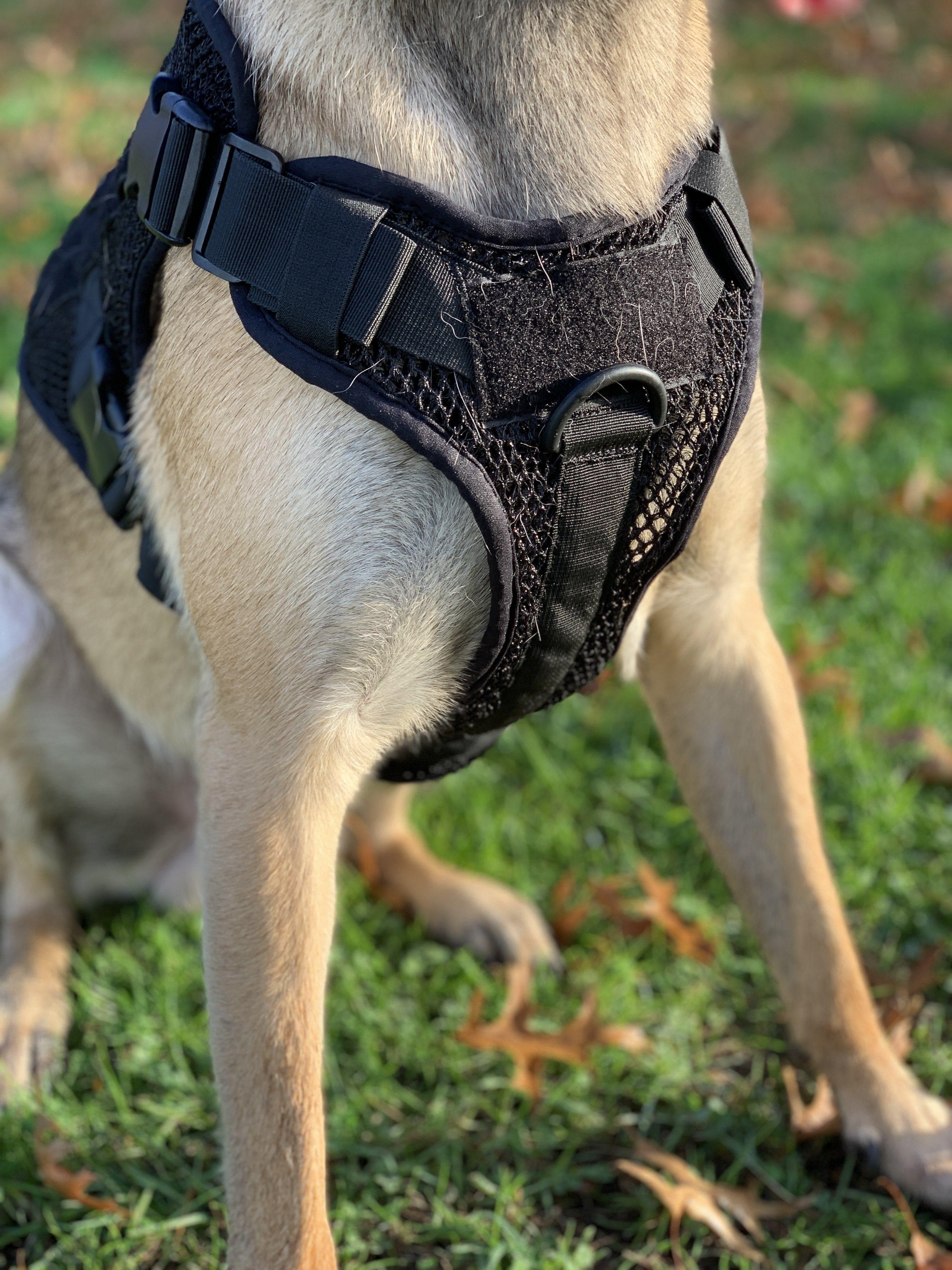 Artemis Dog Harness - No Pull No Tug No Choke Adjustable Breathable K-9 - Image 5