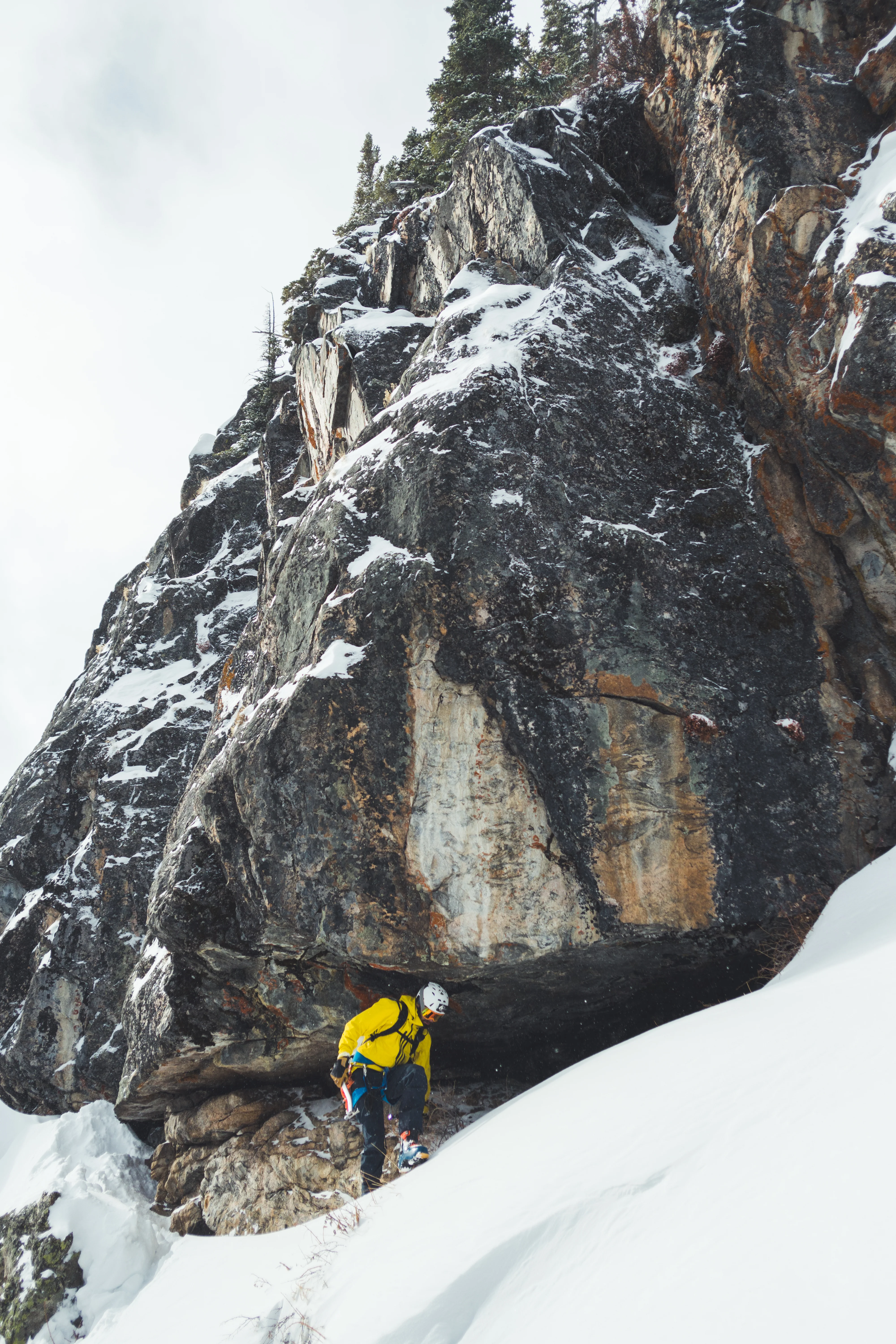 Team Wendy M-216 | w/ Princeton Tec Light & Superior Ventilation | Professional Ski Helmet - Image 32