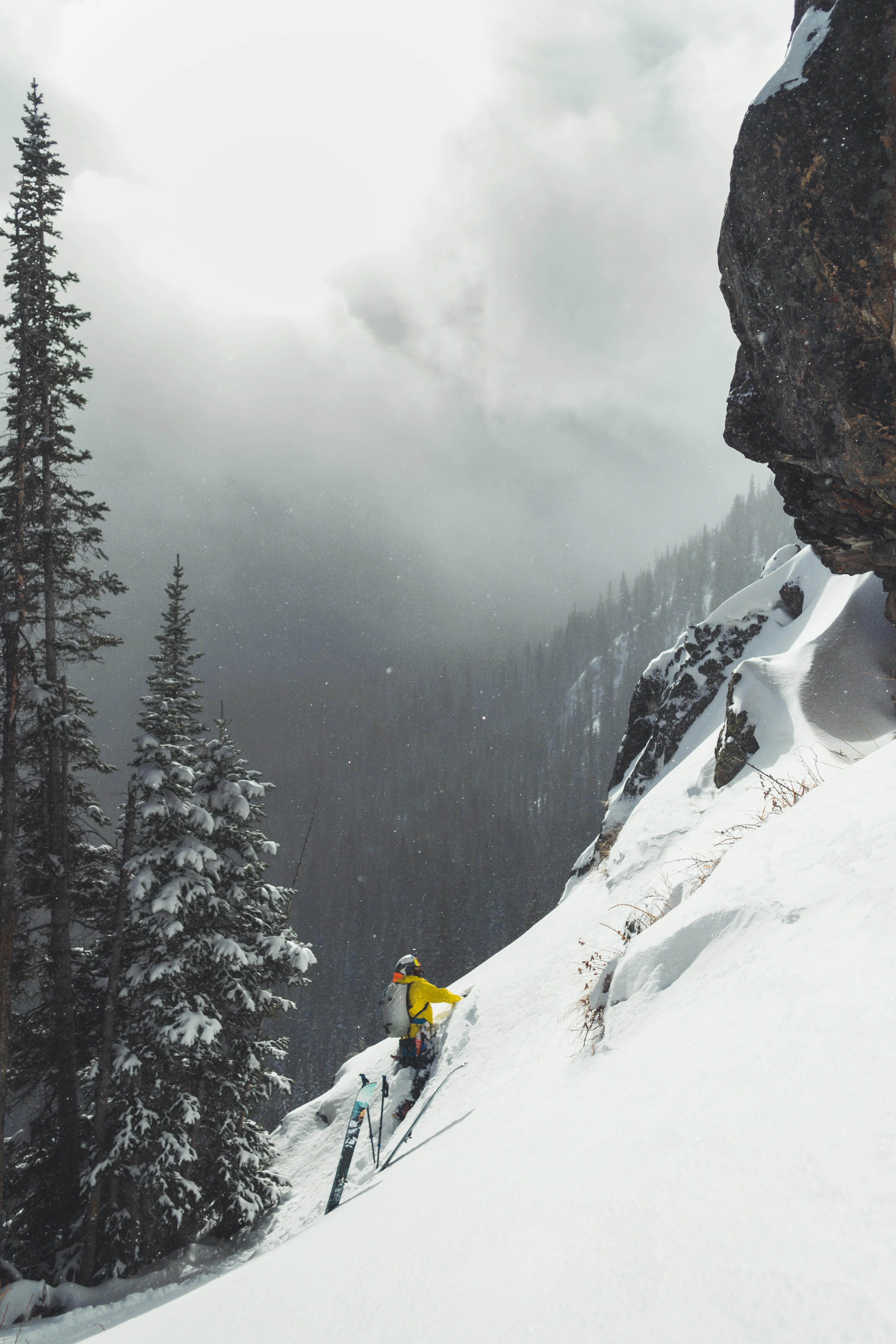 Team Wendy M-216 | w/ Princeton Tec Light & Superior Ventilation | Professional Ski Helmet - Image 35